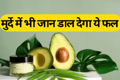 Avocado Health Benefits In Hindi