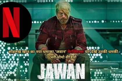 Jawan Film Netflix